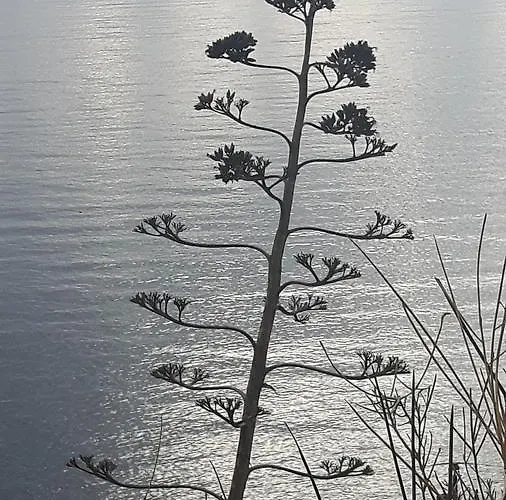 酒店 城堡酒店 3*