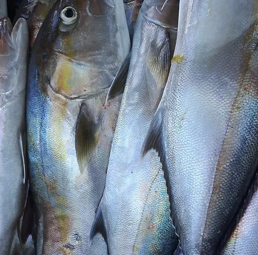 Hotel Castle Himarë